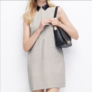 Ann Taylor sleeveless leather collar dress